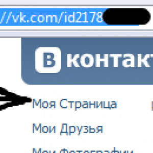 ID в адресной строке браузера